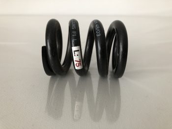 Genuine Williams F1 Suspension Spring made by Eibach & Genuine Williams FW27 Gearbox Cog from 2005 - Image 4