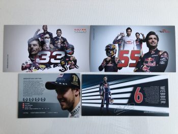 Set of 4 Red Bull Racing / Toro Rosso Driver Cards / Post Cards