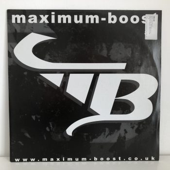 Swan E & Picto - Paralysis And Analysis / Give Me More (12")