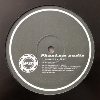 Digital And Spirit - Phantom Audio (2x12") - Image 3