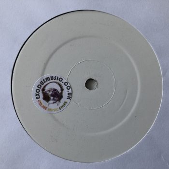 Dialect & Kosine Meets King General - Mount Zion / Got To Be Conscious (12", Promo)