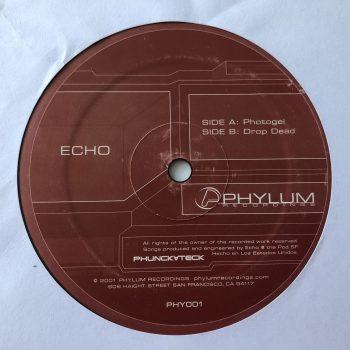 Echo - Photogel / Drop Dead (12")