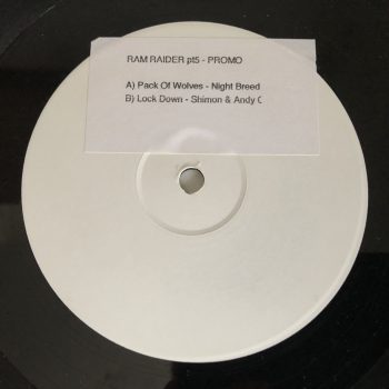Various - Ram Raiders Vol. 05 (2x12", Promo, W/Lbl, Sti)