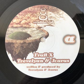Trevelyan & Icarus - Fruit X / Lion Dub (12")