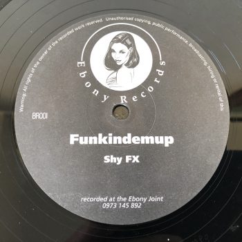 Pack of 8 Jungle / D&B Vinyl Records from 1995 - 2001 - Image 3