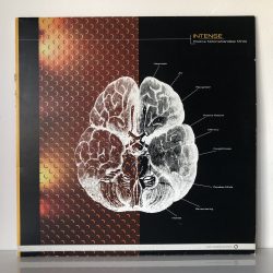 Intense - Positive Notions / Careless Minds (12")