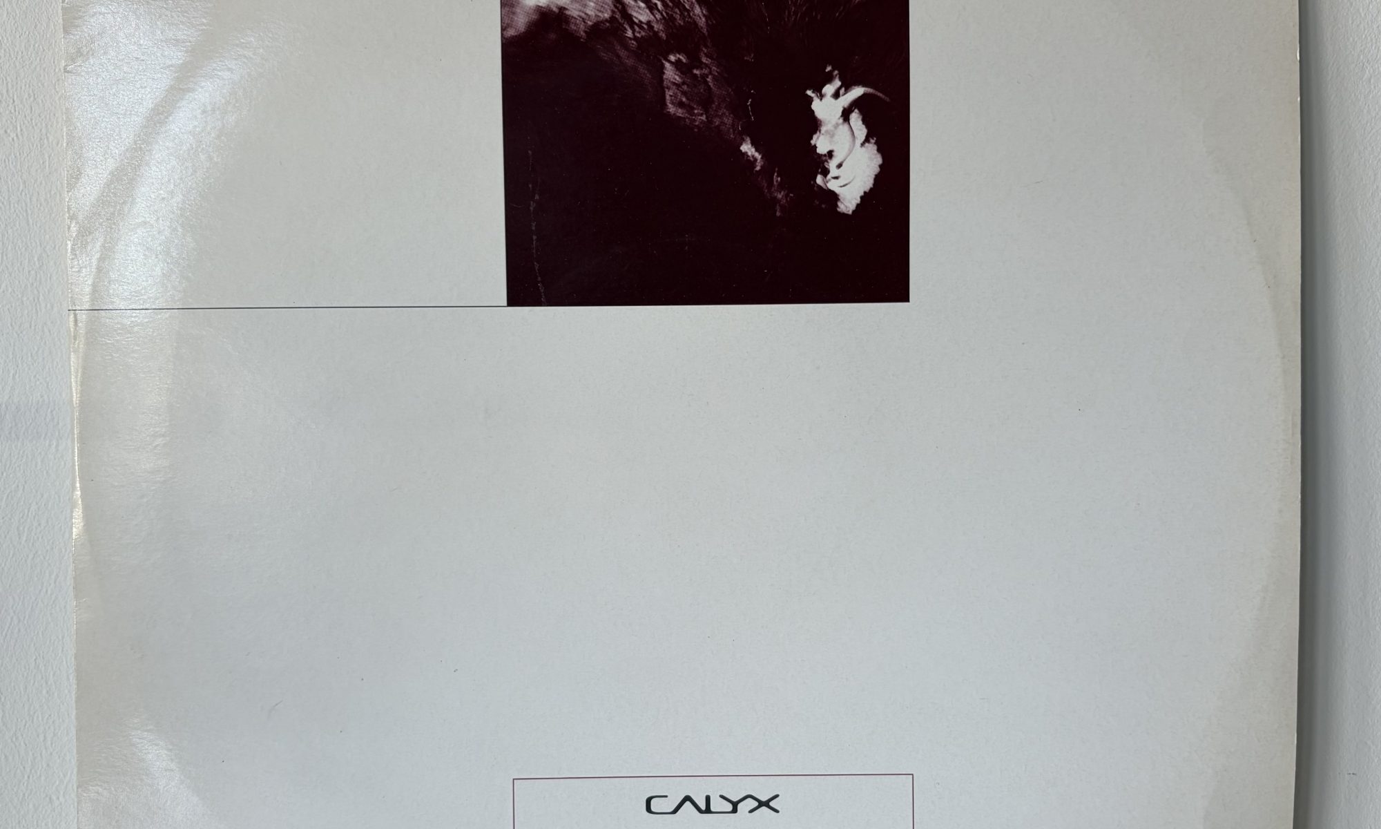 Calyx - Techtonic / Recall (12")